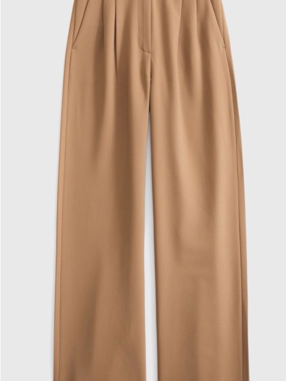 ABERCROMBIE & FITCH Sloane Tailored Wide-Leg High-Rise Trousers Pants in Tan - Picture 5 of 7